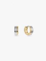 Gold/Silver