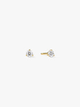 Gold/White