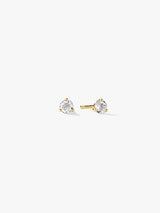 Gold/White
