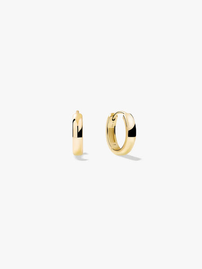 Small Bold Hoops