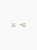 Gold/White