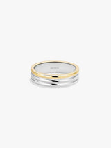 Gold/Silver